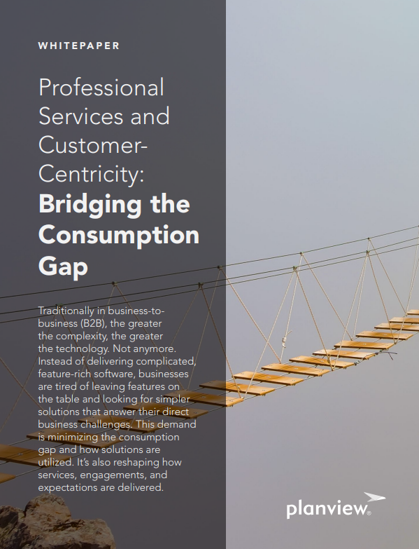 Professional Services and Customer-Centricity: Bridging the Consumption Gap