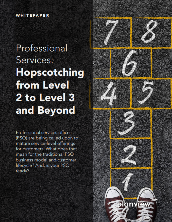 Professional Services: Hopscotching from Level 2 to Level 3 and Beyond