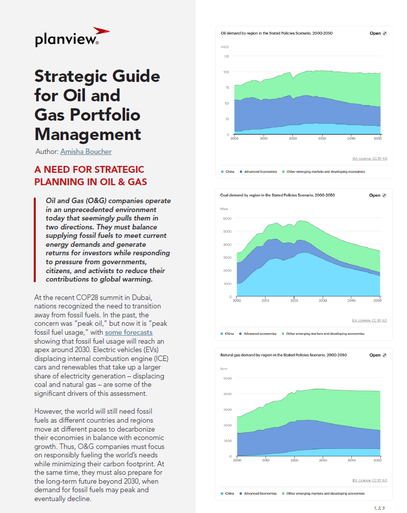 Strategic Guide for Oil and Gas Portfolio Management