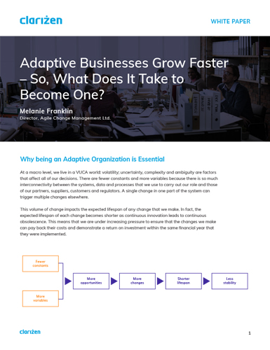 Adaptive Businesses Grow Faster – So, What Does It Take to Become One?