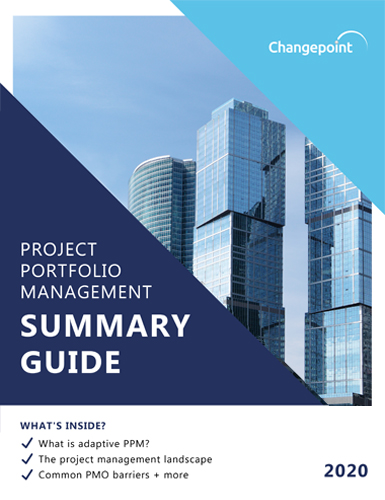 Project Portfolio Management Summary Guide
