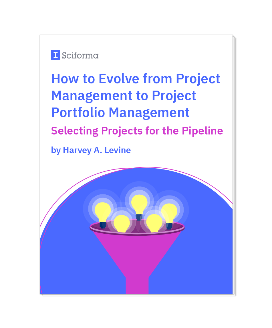 How to Evolve from Project Management to Project Portfolio Management